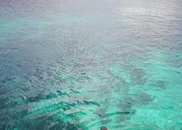 Apto Rosas Διαμέρισμα